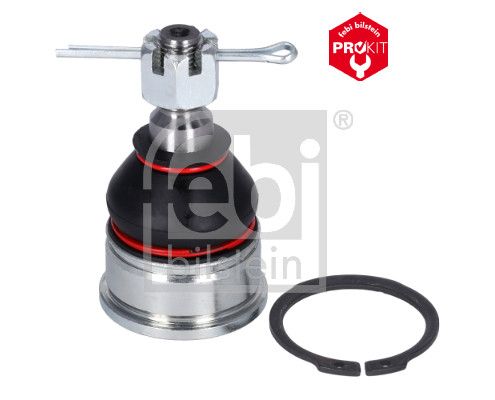 Šarnyras / girgždukas