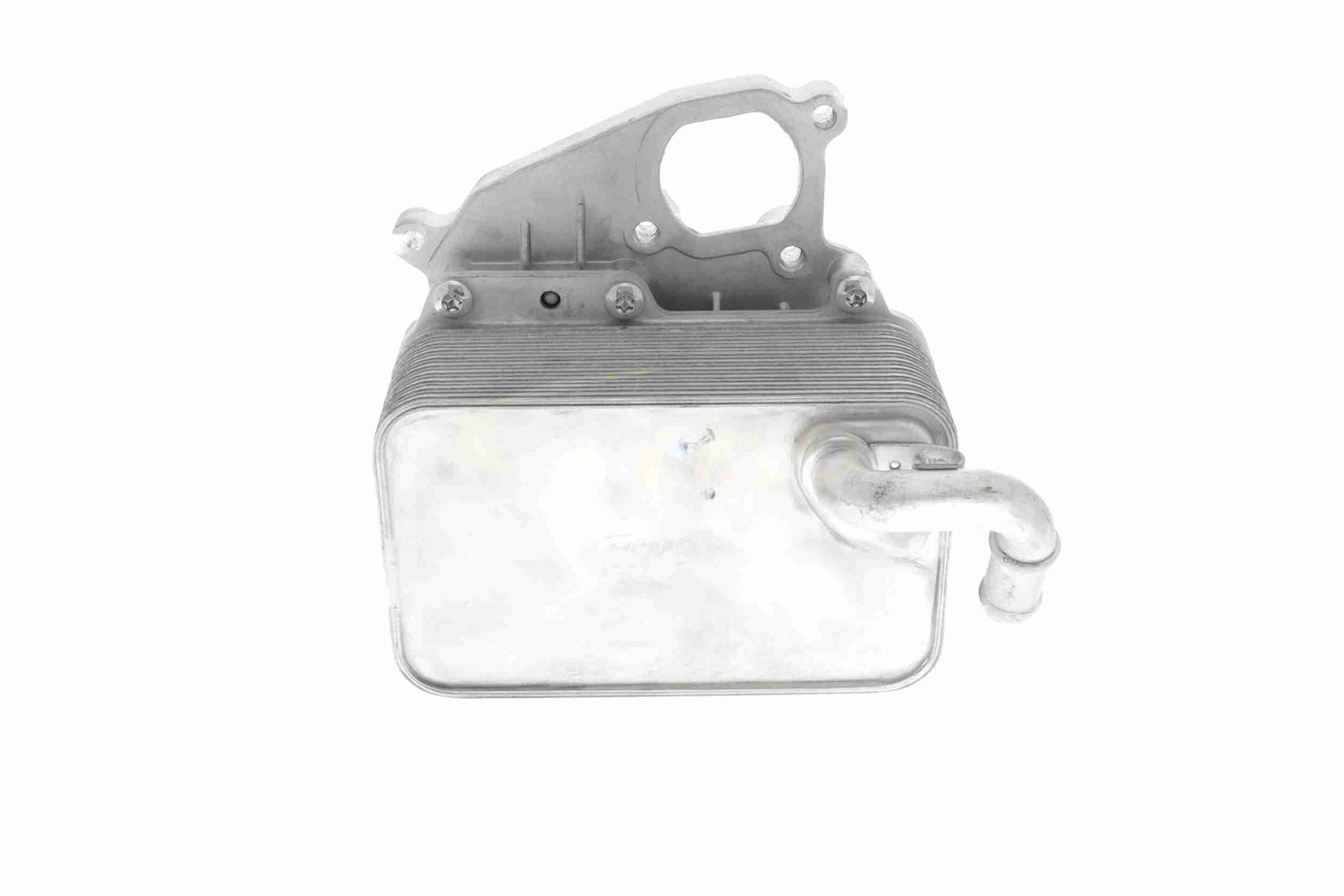 Oil Cooler, engine oil-4