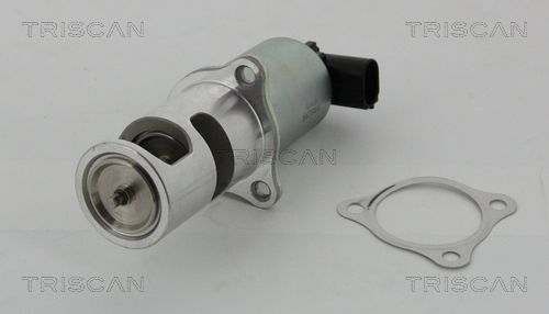 TRISCAN 8813 24037 Egr valve