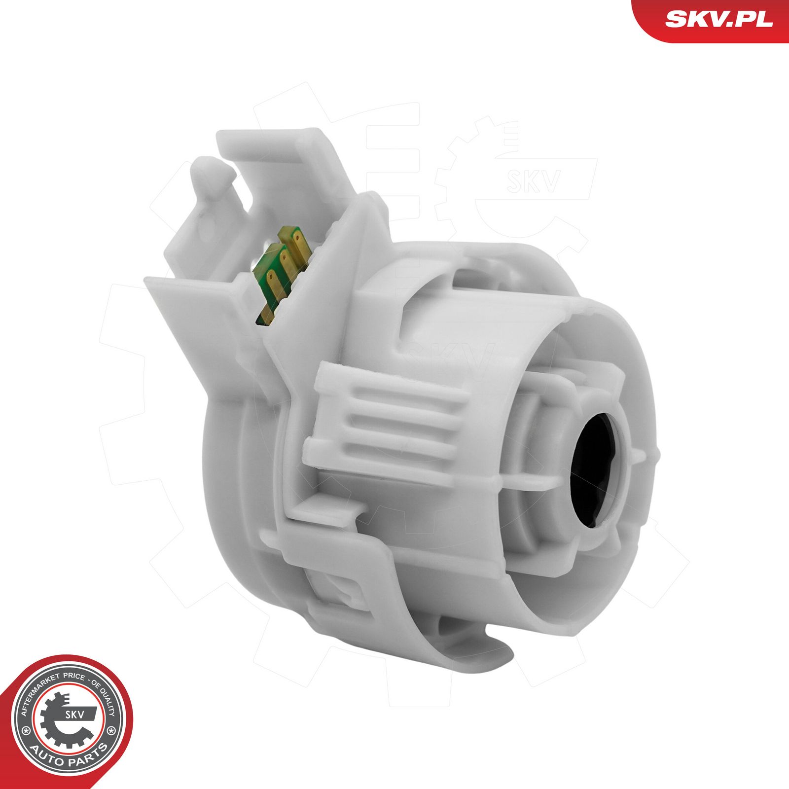 Ignition Switch