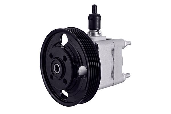 HELLA 8TL 359 003-001 Hydraulic pump, steering