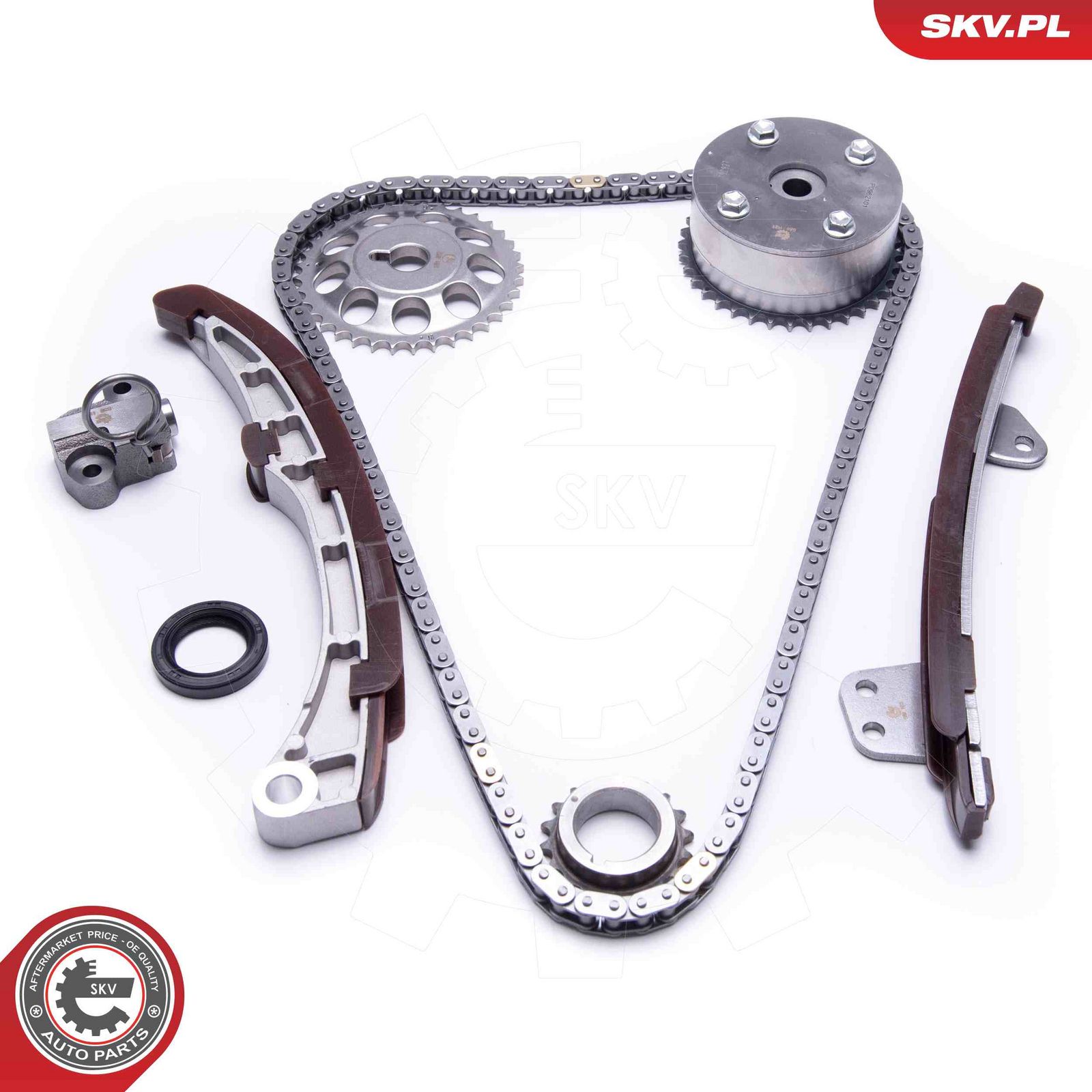 Timing Chain Kit