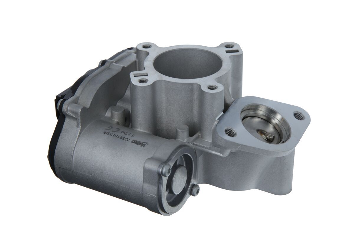 EGR Valve-2