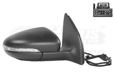 VAN WEZEL 5863808 Exterior mirror