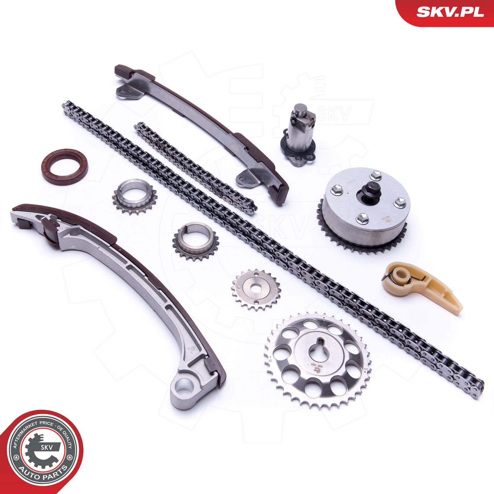 ESEN SKV 21SKV197 Timing chain kit