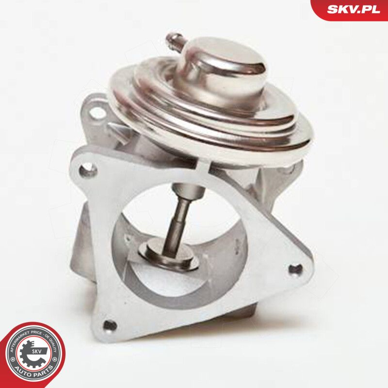 ESEN SKV 14SKV019 Egr valve