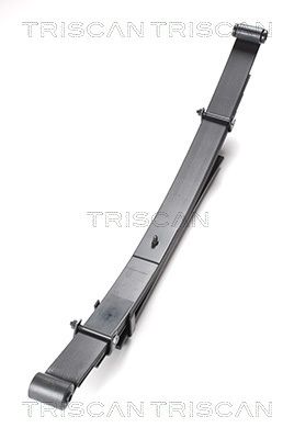 TRISCAN 8765 42009 Spring pack