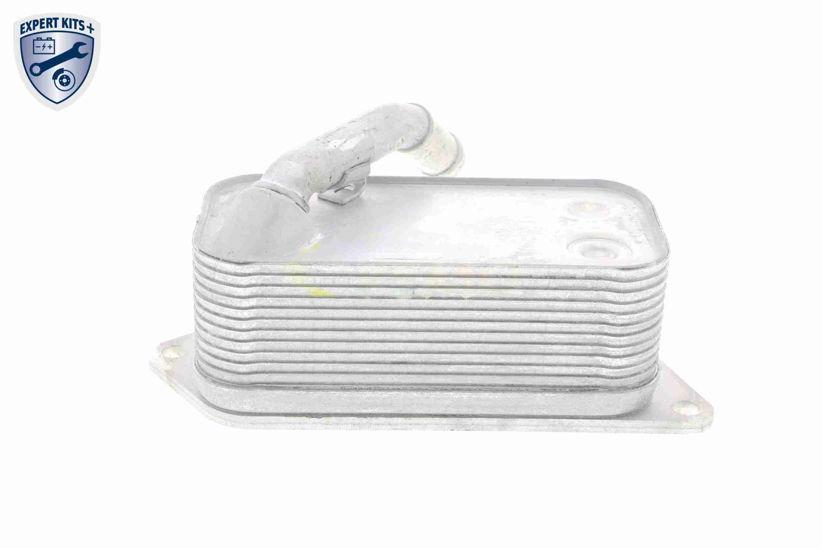 Oil Cooler, engine oil-6