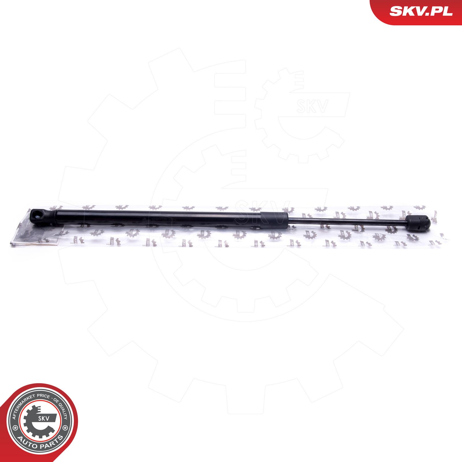 Gas Spring, boot/cargo area