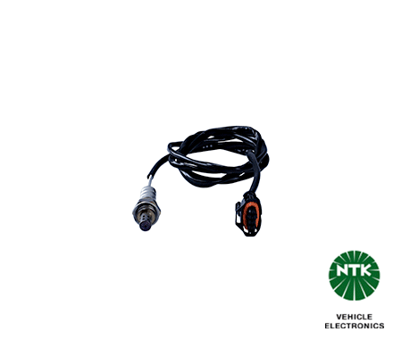 Oxygen Sensor-1