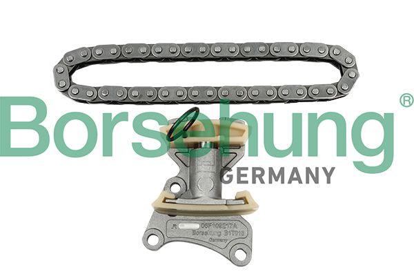BORSEHUNG B18847 Timing chain kit