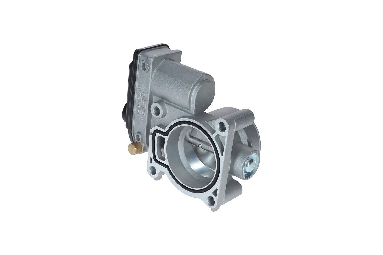 Throttle Body-1