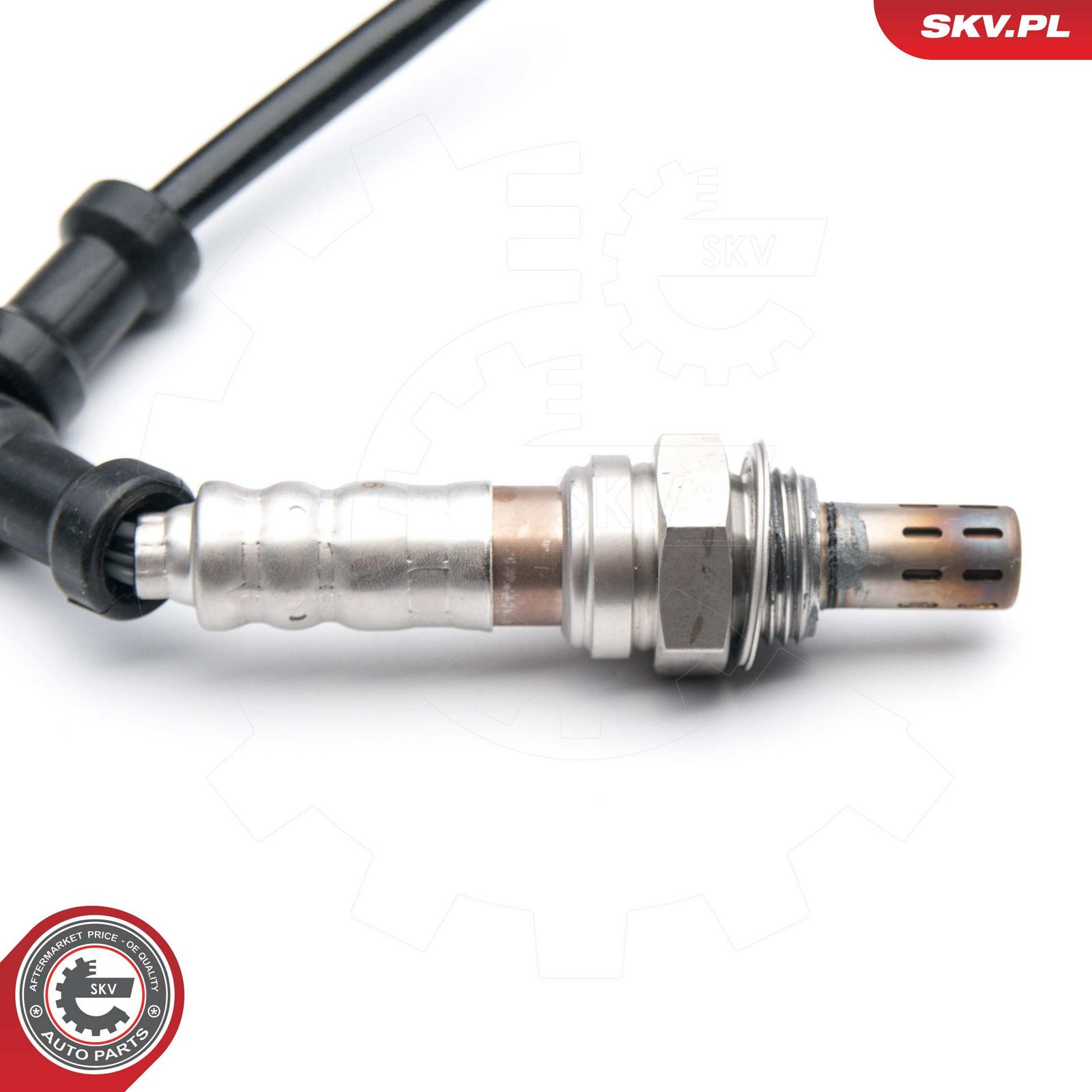Oxygen Sensor-1