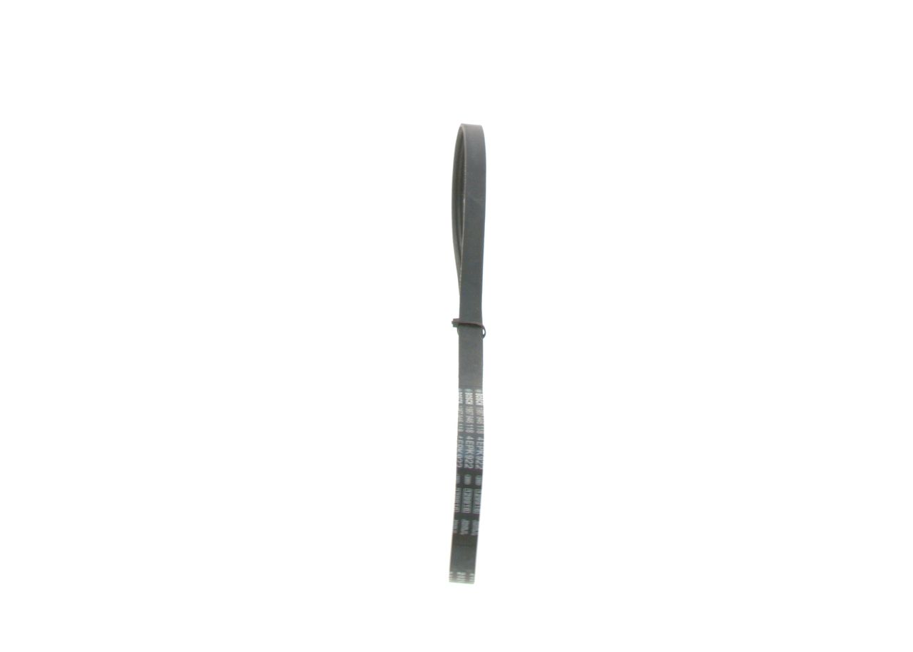 V-ribbed Belt-1