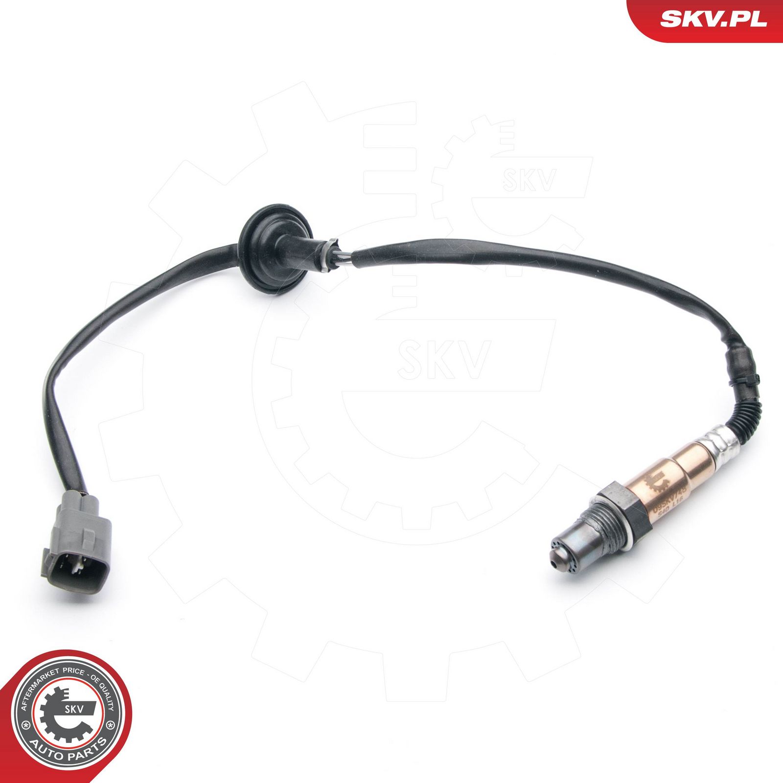 Oxygen Sensor-1