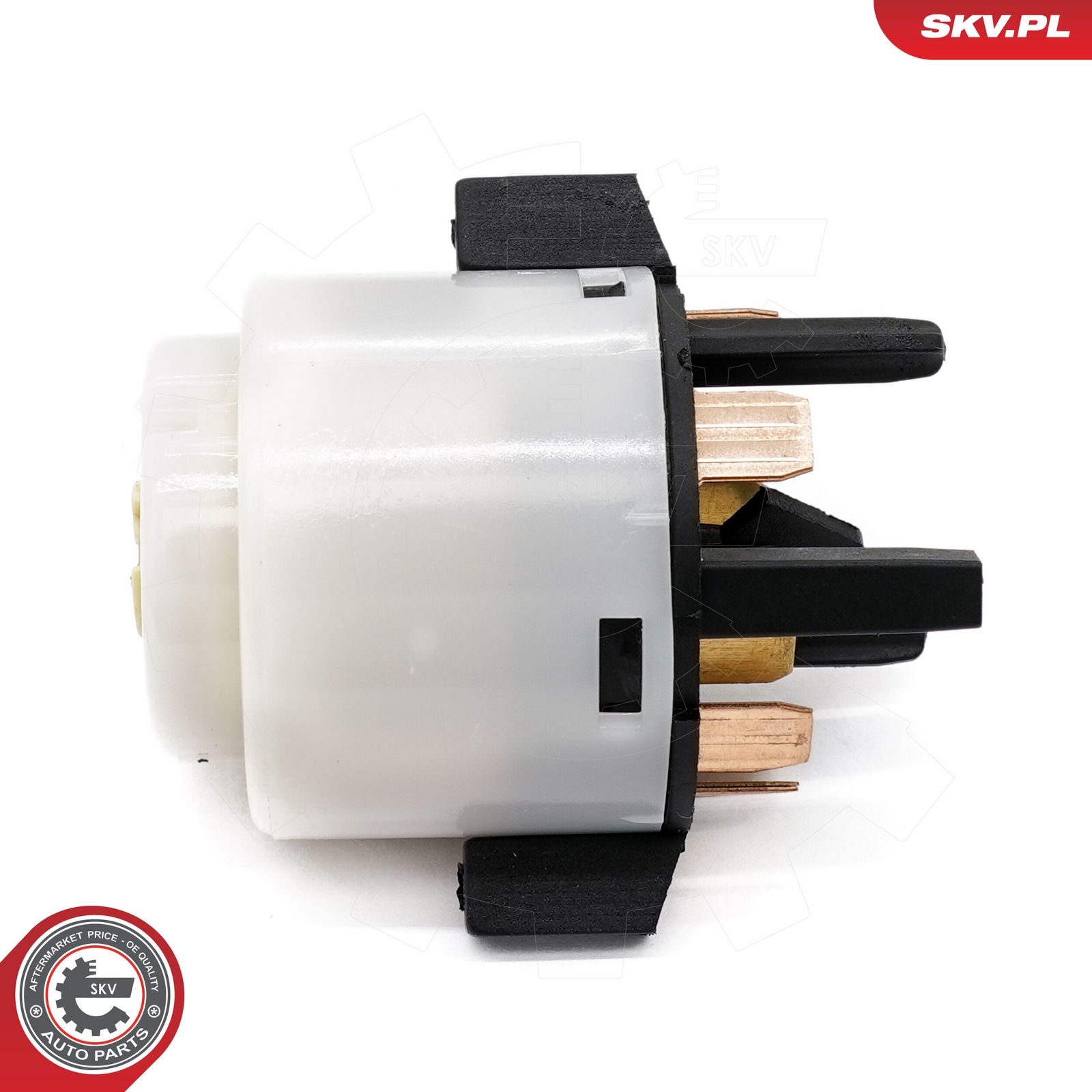 Ignition Switch-2