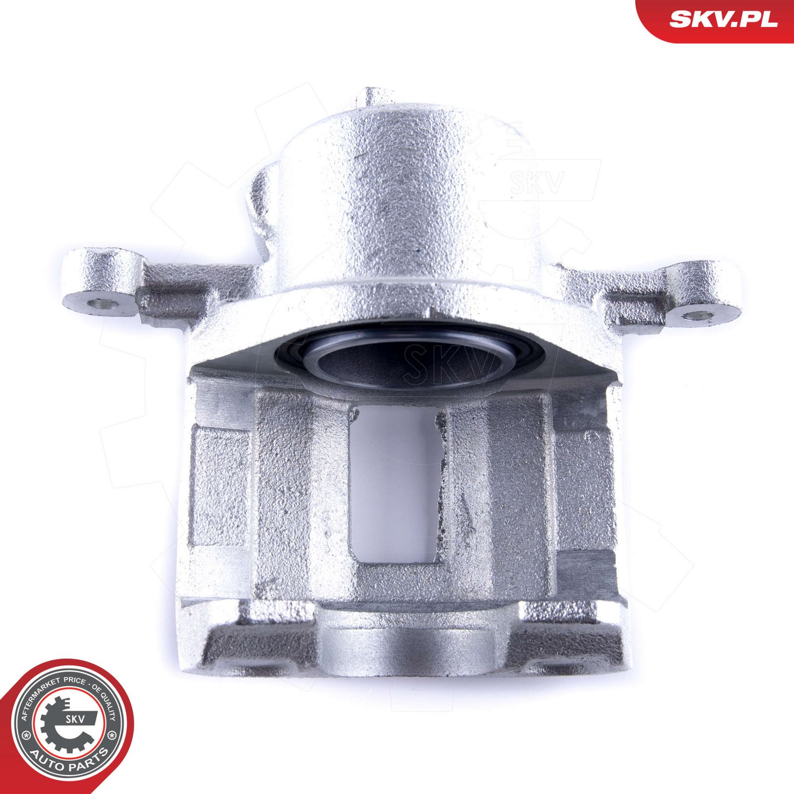 Brake Caliper-2