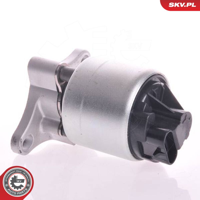 ESEN SKV 14SKV002 Egr valve