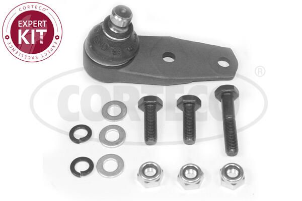 CORTECO 49398576 Šarnyras / girgždukas