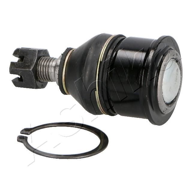 Šarnyras / girgždukas-1