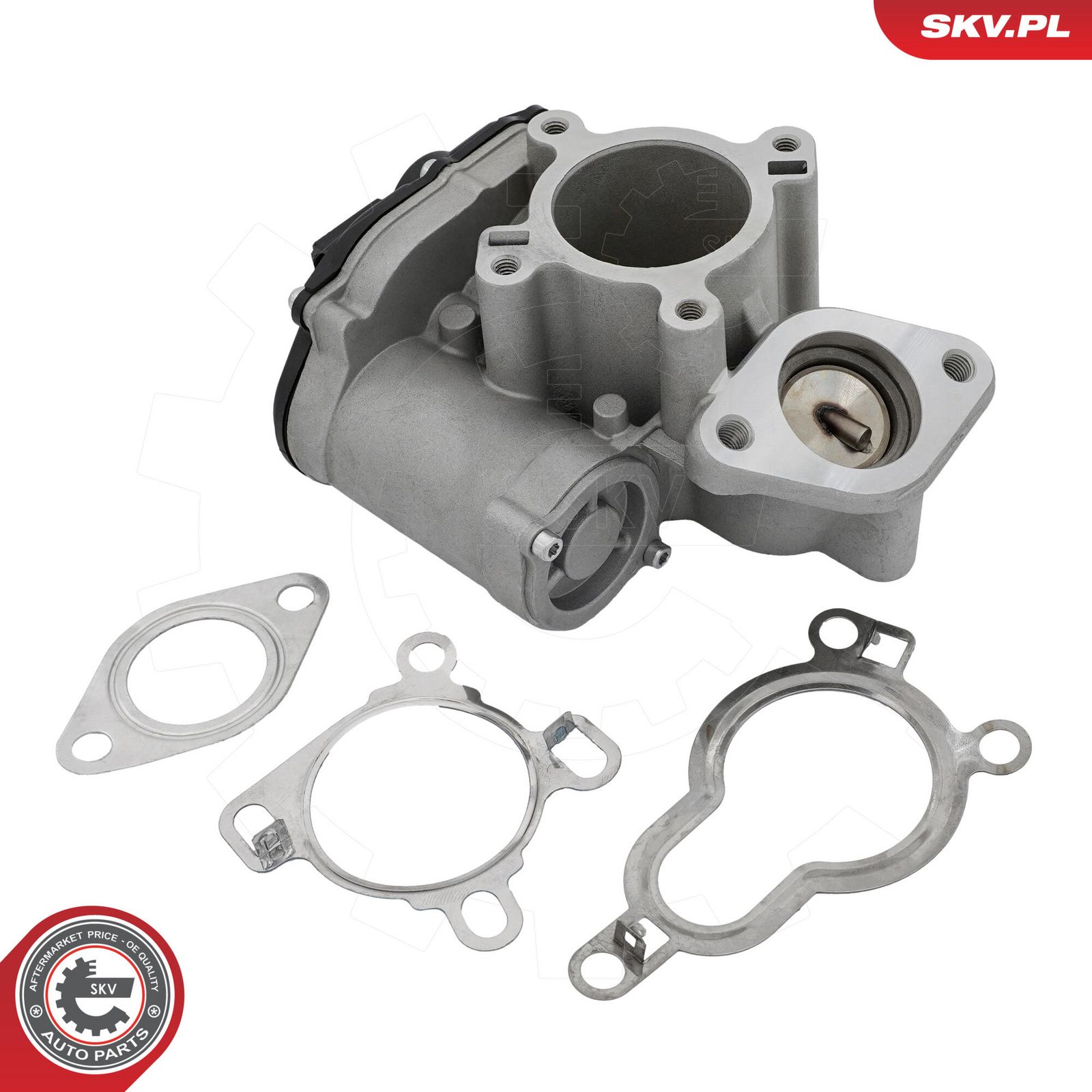ESEN SKV 14SKV317 Egr valve