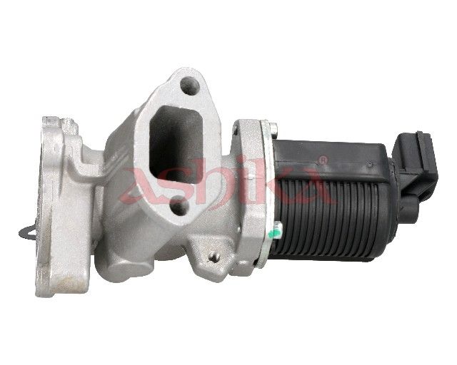 EGR Valve-2