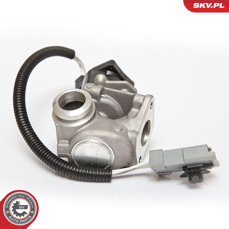 ESEN SKV 14SKV071 Egr valve