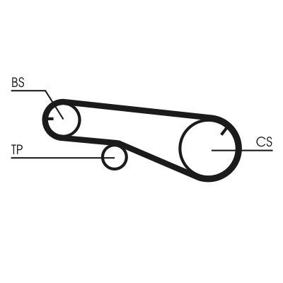 Timing Belt-1