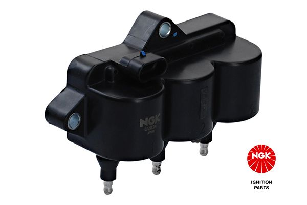 NGK 48153 Ritė, uždegimas