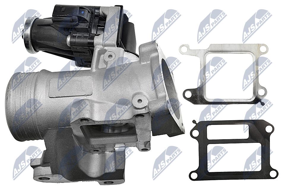 EGR Valve-2