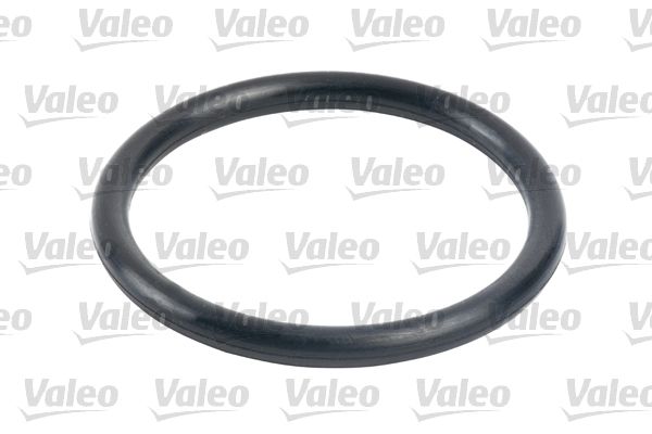 Fuel Filter-3
