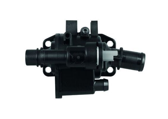 termostatas, aušinimo skystis-1