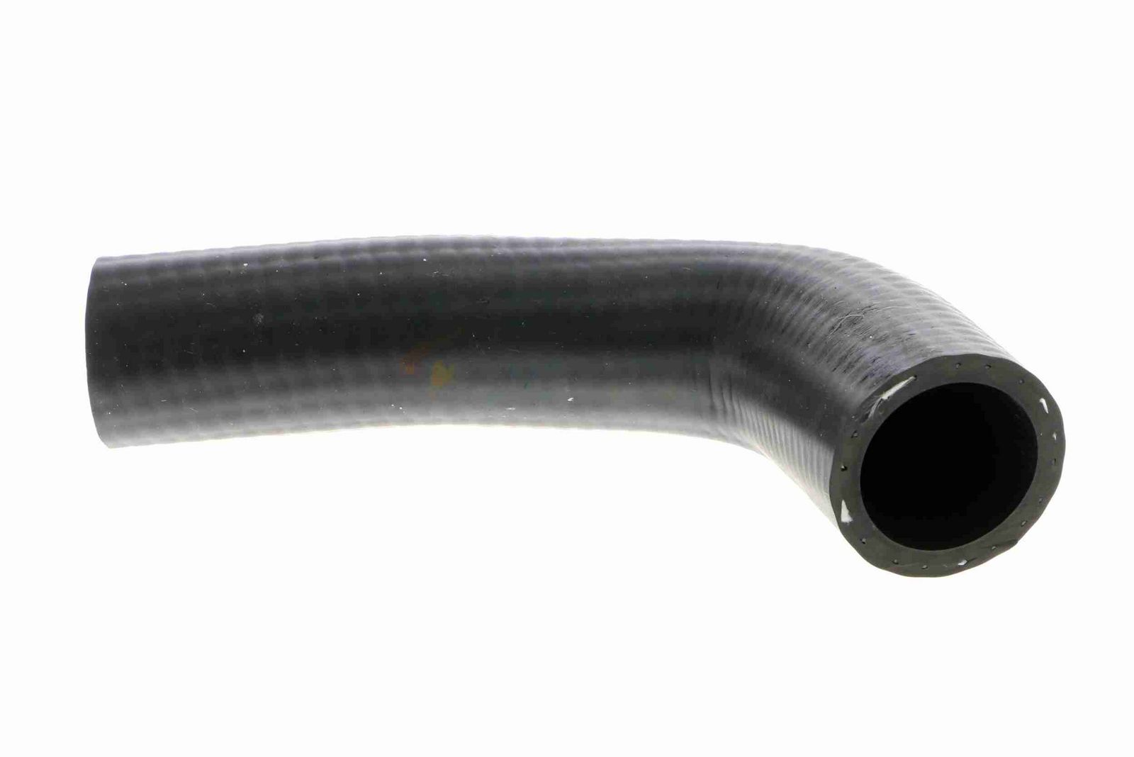Radiator Hose-1