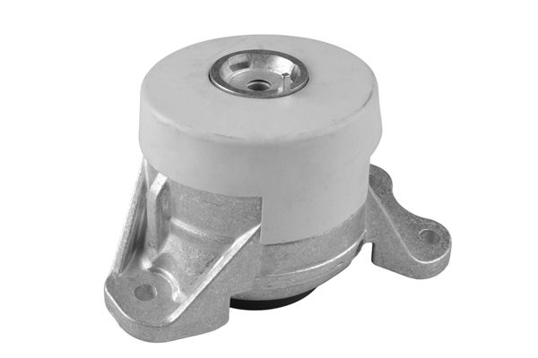 TEDGUM TED93160 Mounting, engine
