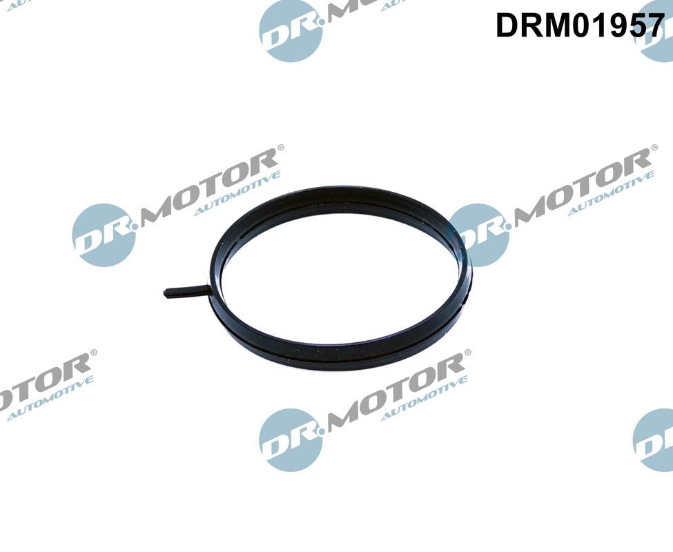 Gasket, throttle body