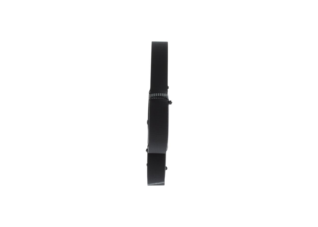 V-ribbed Belt-1