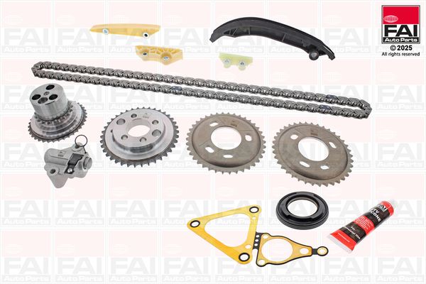 FAI AUTOPARTS TCK138 Timing chain kit