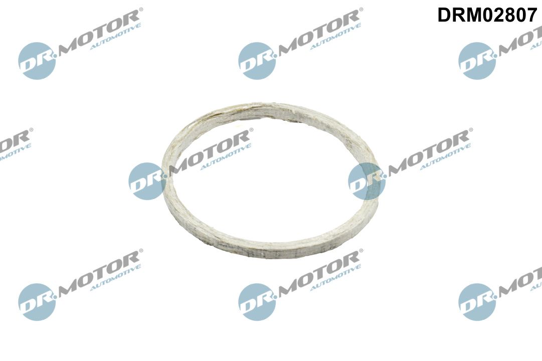 Gasket, exhaust pipe-main