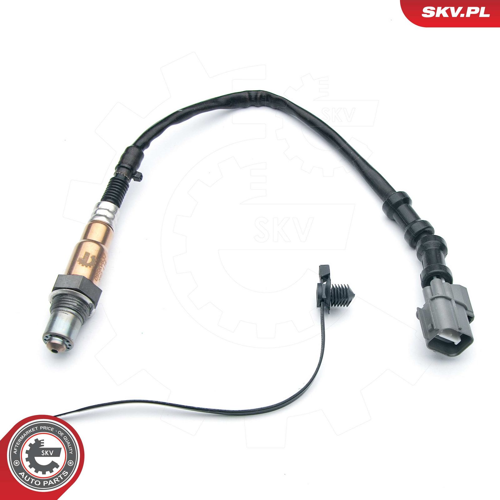 Oxygen Sensor-3