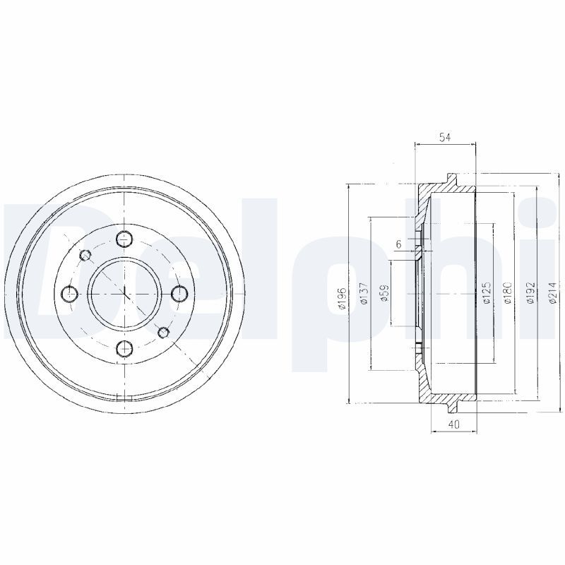 DELPHI BF200 Brake drum