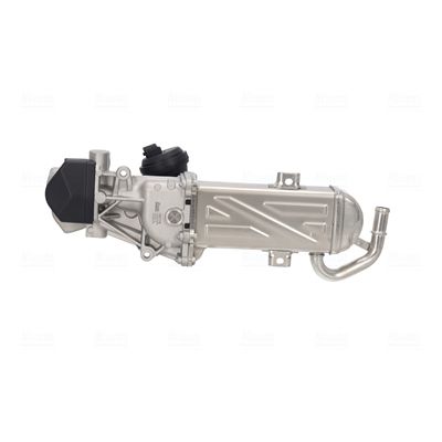 EGR Module-2