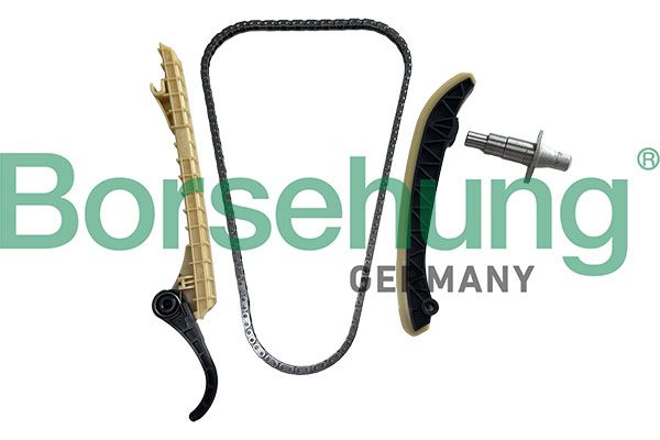 BORSEHUNG B13293 Timing chain kit