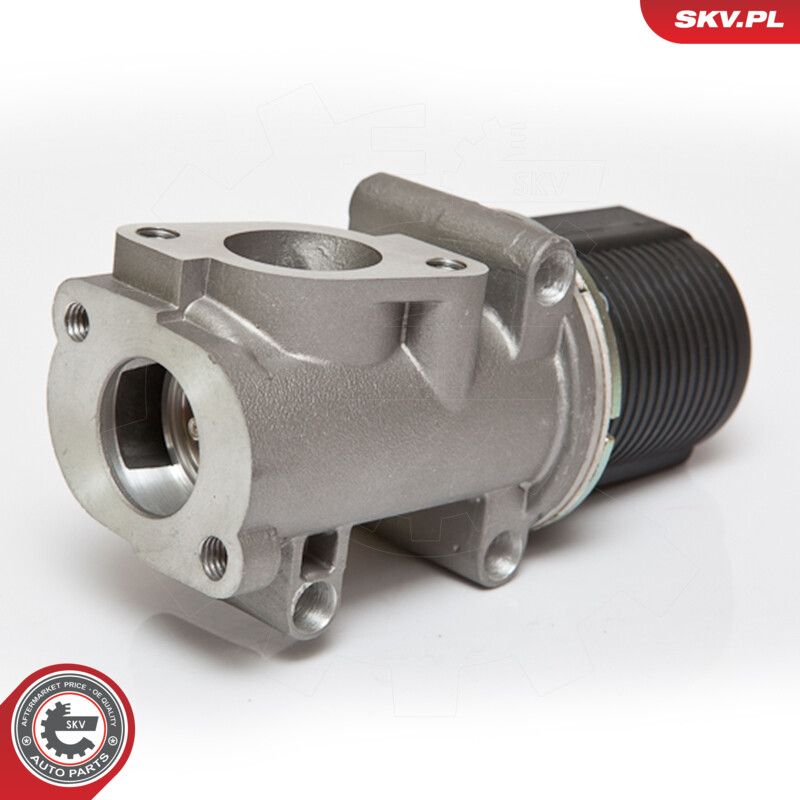 EGR Valve-2