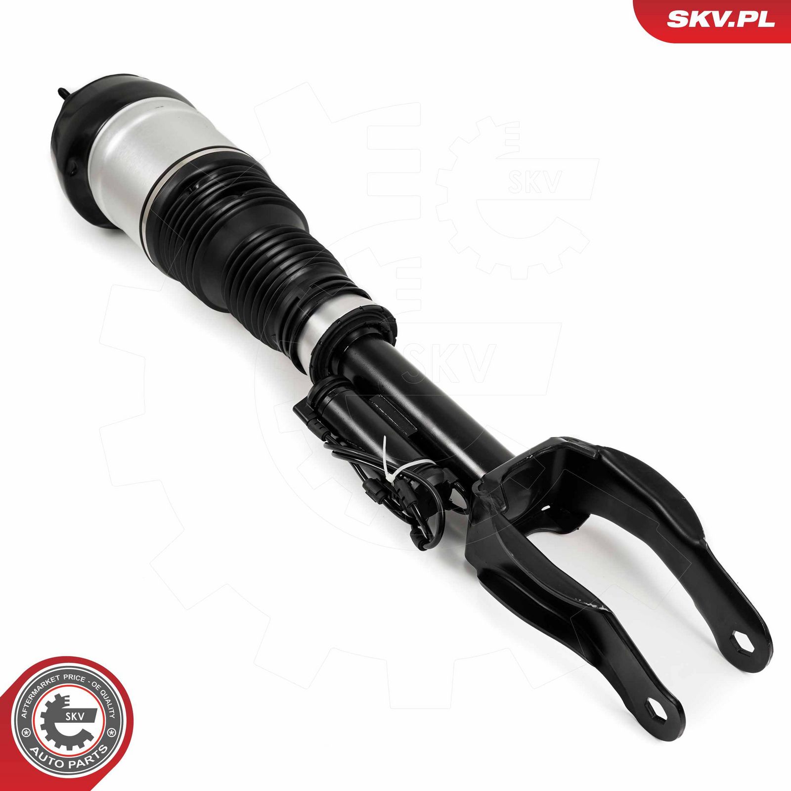 Air Suspension Strut-1