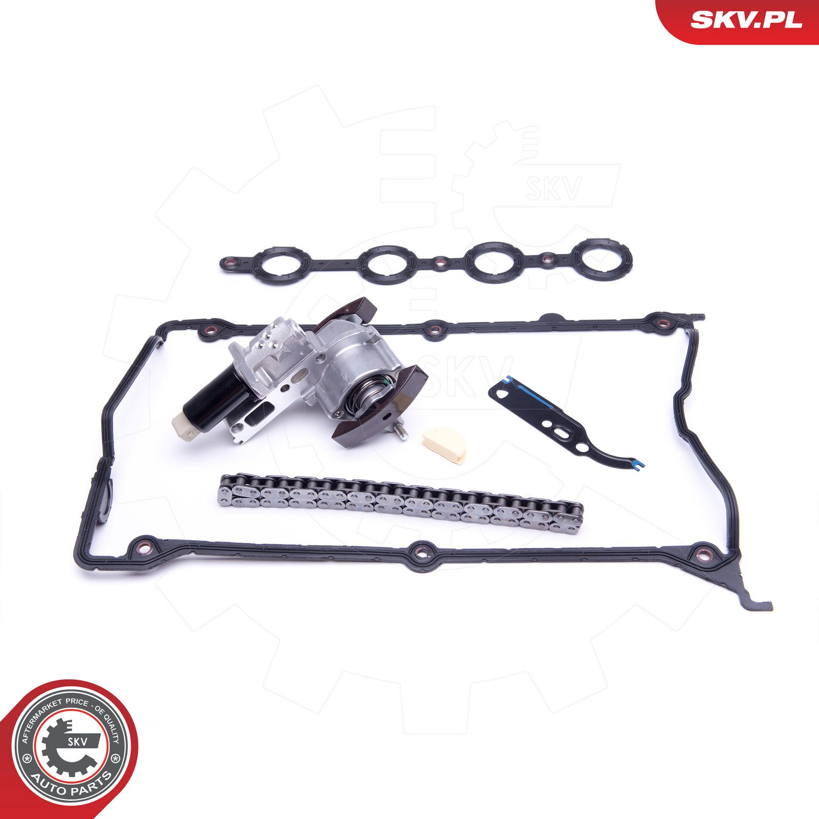 Timing Chain Kit