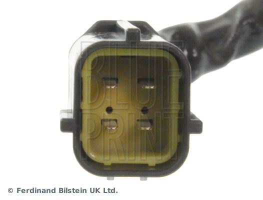 Oxygen Sensor-1
