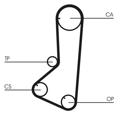 Timing Belt