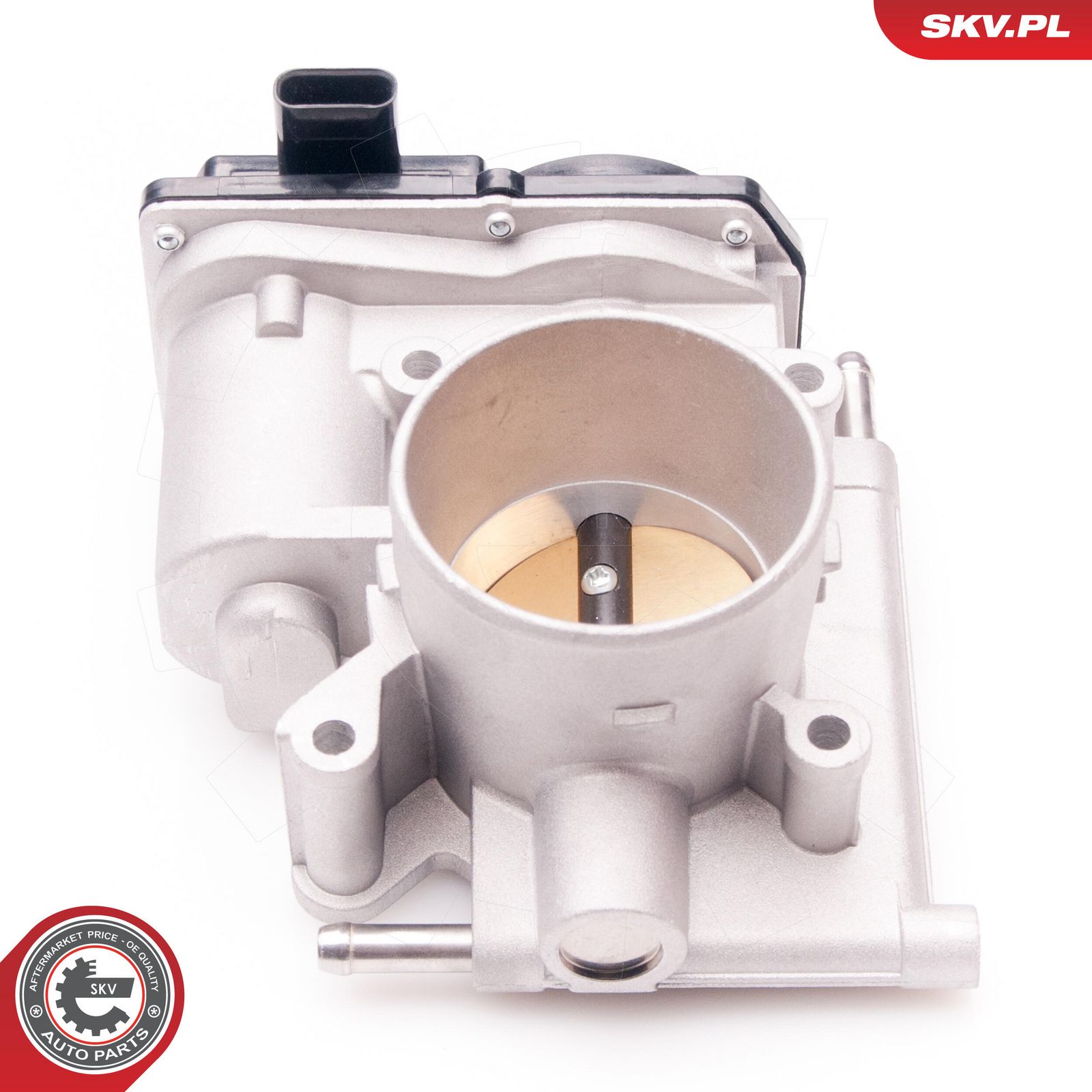 Throttle Body-2