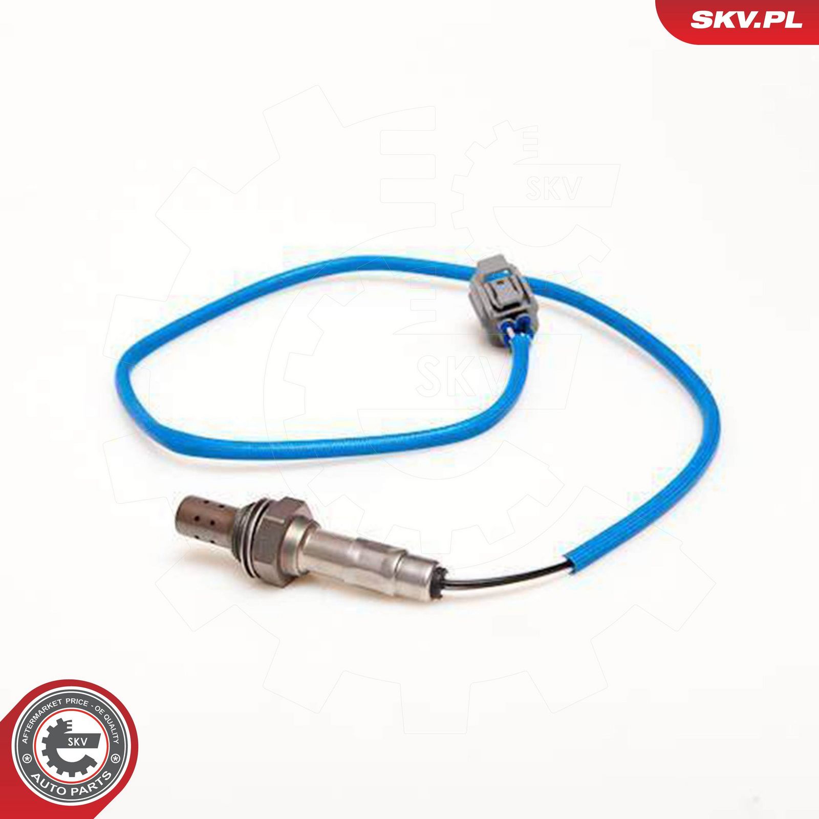 Oxygen Sensor-2