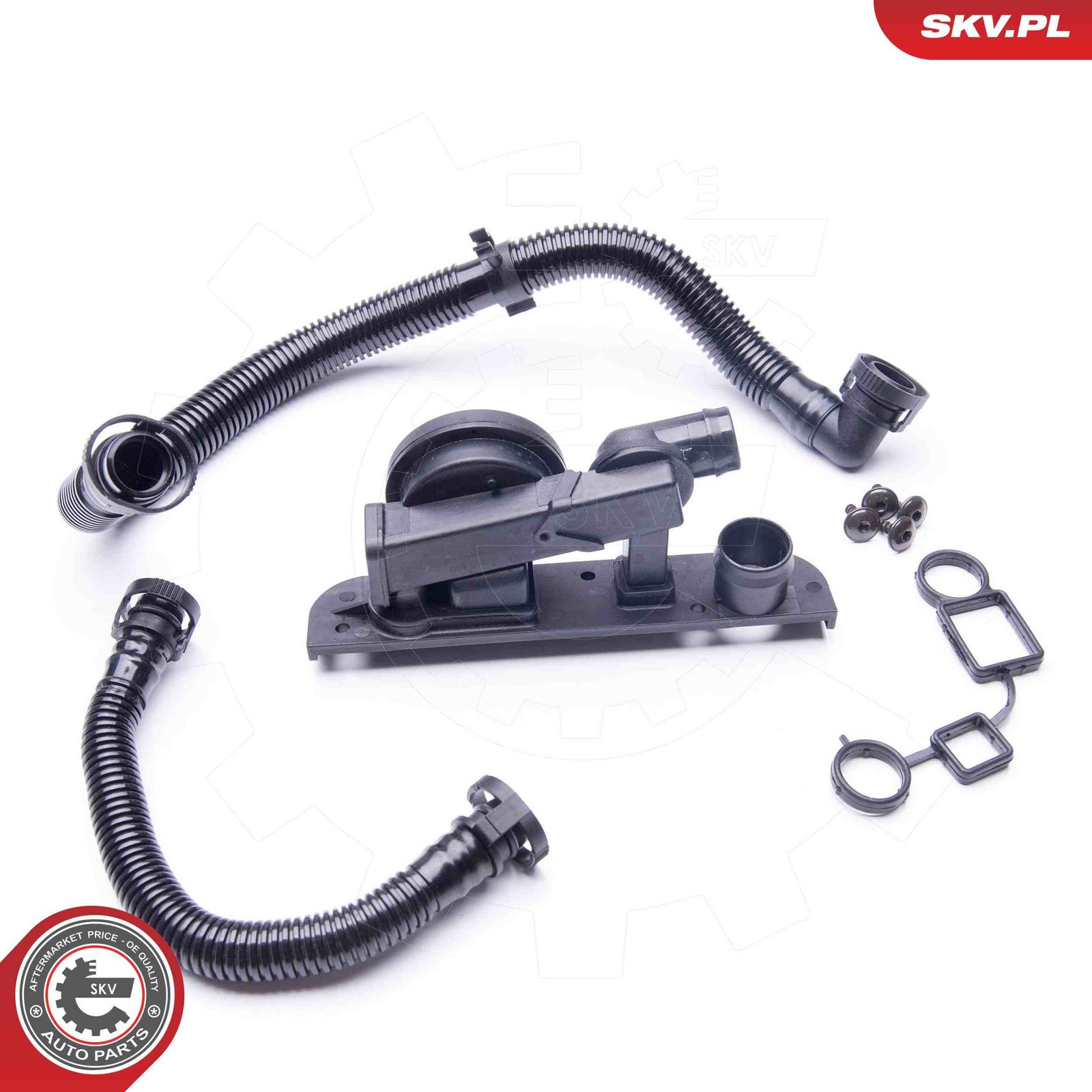 ESEN SKV 31SKV005 Repair kit, crankcase ventilation